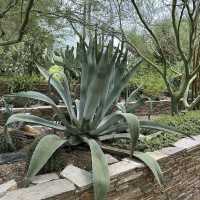 Desert Botanical Garden (AZ)
