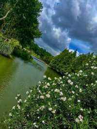 🌳 Century Park – Shanghai’s Green Oasis🌿