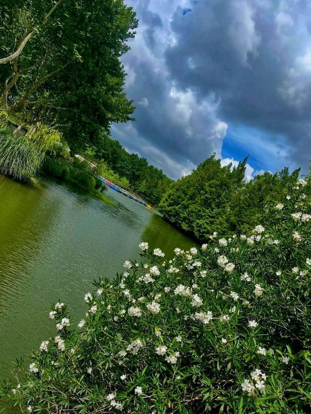 🌳 Century Park – Shanghai’s Green Oasis🌿 🌳 Century Park – Shanghai’s Green Oasis🌿