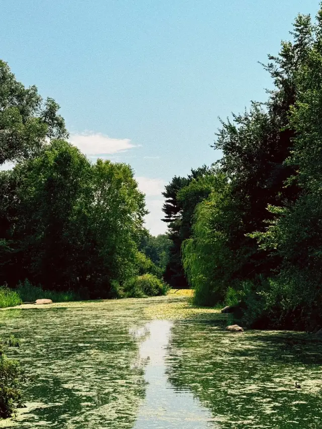 Prospect Park – Brooklyn, New York