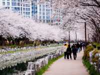 📸 A Spring Day Trip in Busan