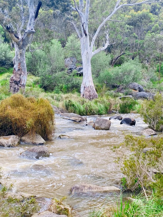 Onkaparinga River National Park: South Australia’s Wild Gorge Escape
