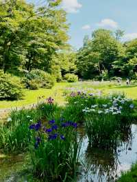 Summer at Tokyo