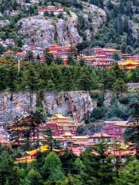 S217 理亞公路美景 + 雅江縣