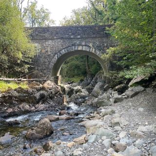 Coed y Brenin Forest Park (Snowdonia)