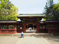 Nezu Shrine: Tokyo’s Timeless Sanctuary