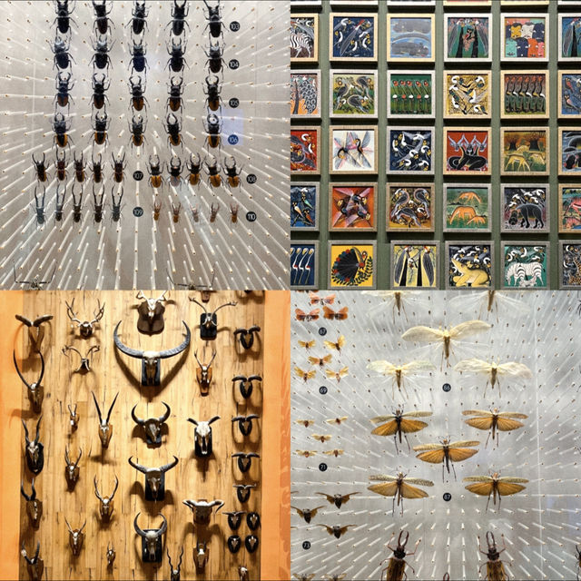 เยี่ยมชม Shanghai Natural History Museum 🦋