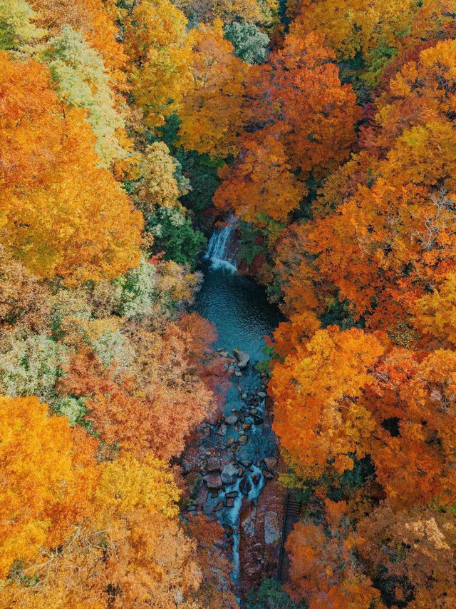 🍂 Guangwu Mountain – The Autumn Paradise of Sichuan 🍂
