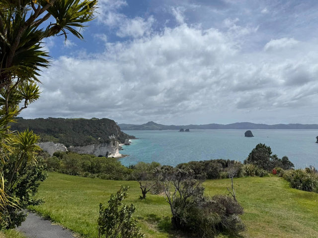 New Zealand Adventures : From Islands to Iconic Shores