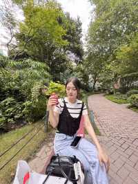 Jing’an Park สวนสาธารณะจิงอัน🌱☘️