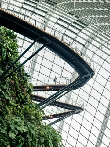 新加坡濱海灣的未來園林奇蹟 🌳