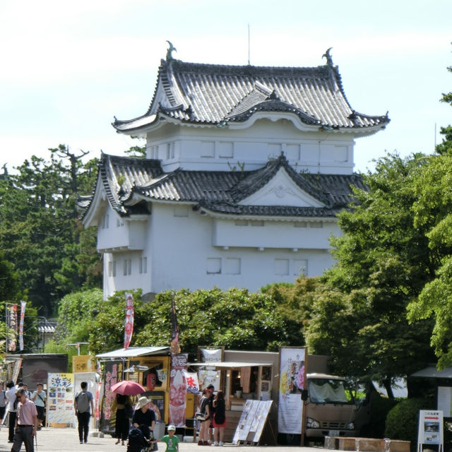 日本國寶級犬山城天守閣