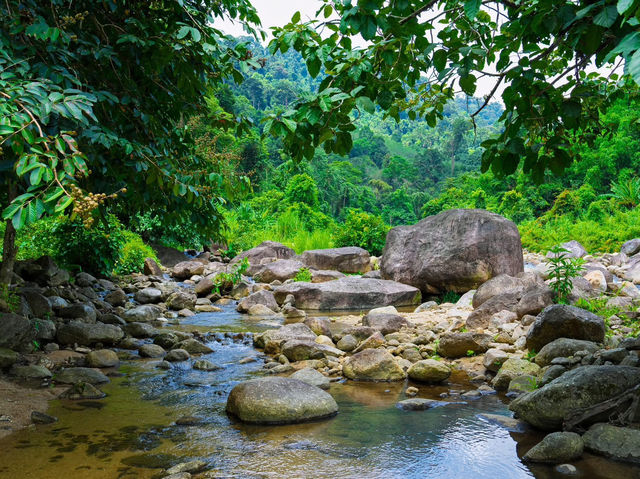🌱🌾พิปูน นครศรีธรรมราช🌾🌱