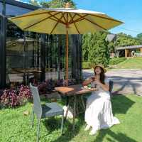 🌳🌱Flora Creek Chiang Mai ที่พักกลางขุนเขา