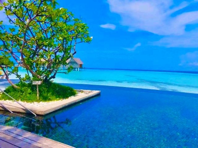 Constance Moofushi — The Art of All-Inclusive Perfection
