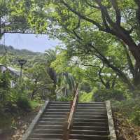 Halla Arboretum, Jeju Island,S.Korea
