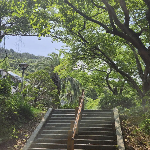 Halla Arboretum, Jeju Island,S.Korea