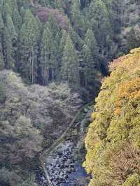 105mの鉄橋から見える壮大な景色 廃線を利用したトロッコ列車