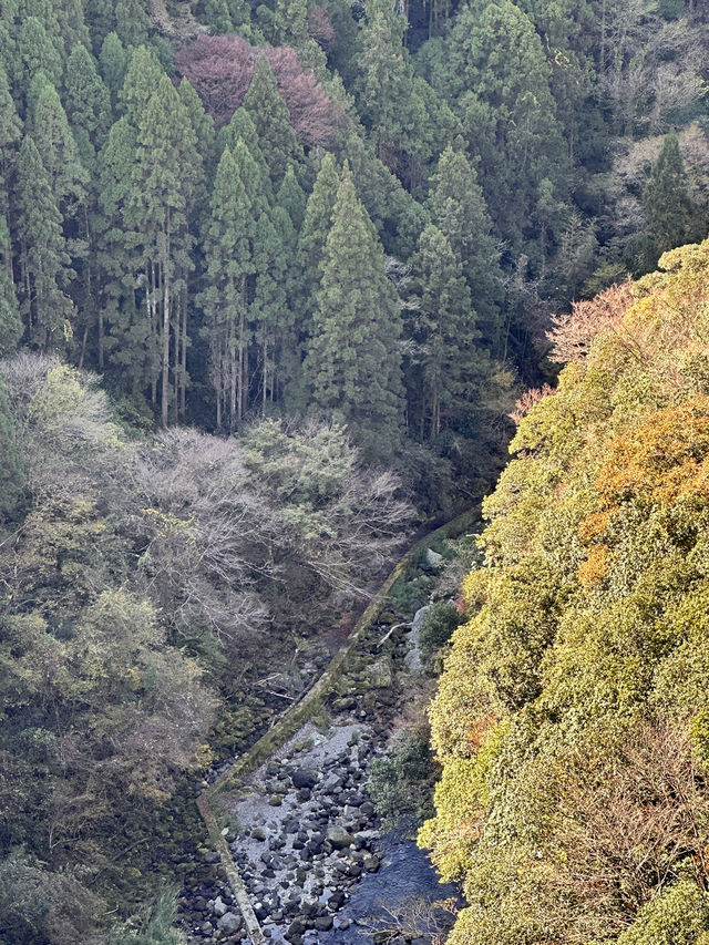 105mの鉄橋から見える壮大な景色 廃線を利用したトロッコ列車