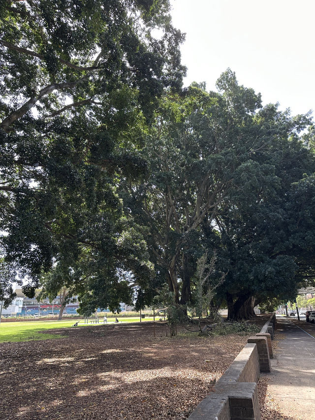 疾影之夜：溫特沃斯公園 格雷獵犬賽場