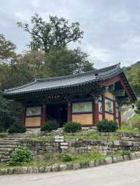 용문산 산책길🌿