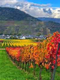 🌸 Cochem – The Fairytale Heart of the Moselle Valley
