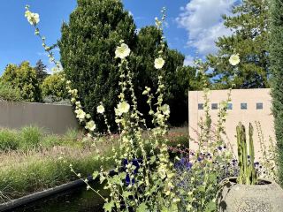 Denver Botanic Gardens