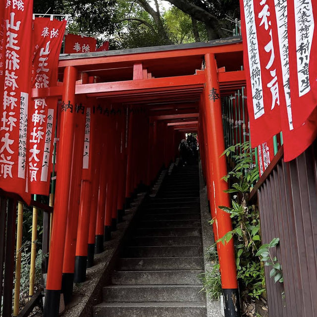 【東京/赤坂🇯🇵】皇城の鎮！都心のパワースポット⛩ 日枝神社