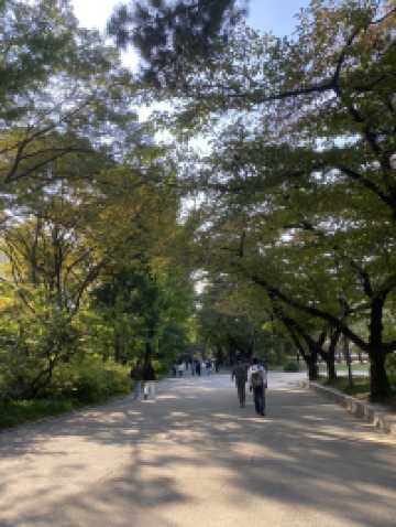 พระราชวังด็อกซูกุง (Deoksugung Palace / 덕수궁)