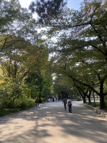 พระราชวังด็อกซูกุง (Deoksugung Palace / 덕수궁) พระราชวังด็อกซูกุง (Deoksugung Palace / 덕수궁)