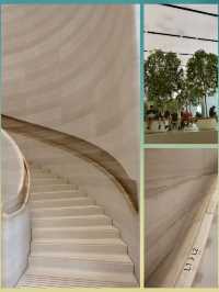 Art on the Streets🌆 A Visual Diary