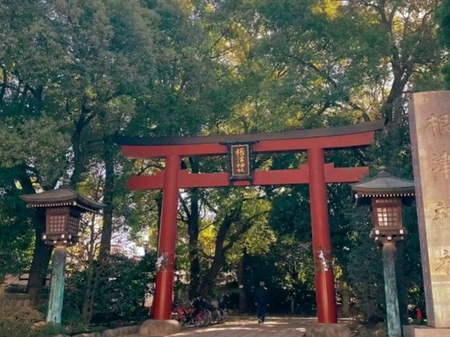 🌸 Nezu Shrine – A Serene Escape in Tokyo’s Old Neighborhood