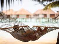 Four Seasons Resort Bora Bora - Unforgettable experience 