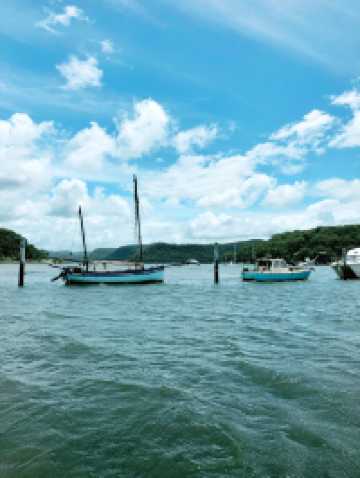 悉尼隐藏版度假地！无车岛Dangar Island