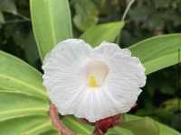 Preah Monivong Bokor National Park ឧទ្យានជាតិព្រះមុនីវង្ស បូ