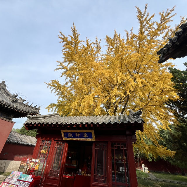 🏔️ Tai’an — The City Guarding the Sacred Mount Tai