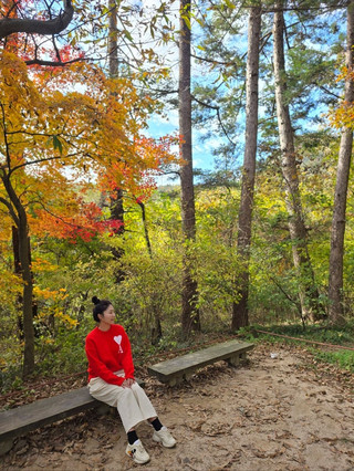 全羅北道扶安市秋季必遊景點🍂