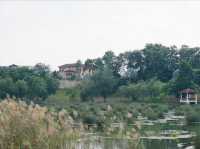 Eco-Adventure in the City: Cycling and Exploring the Wetland Trails