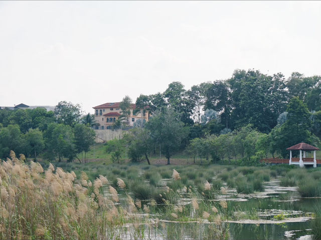 Eco-Adventure in the City: Cycling and Exploring the Wetland Trails