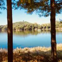 Autumn Foliage Framing the Presidential Villa