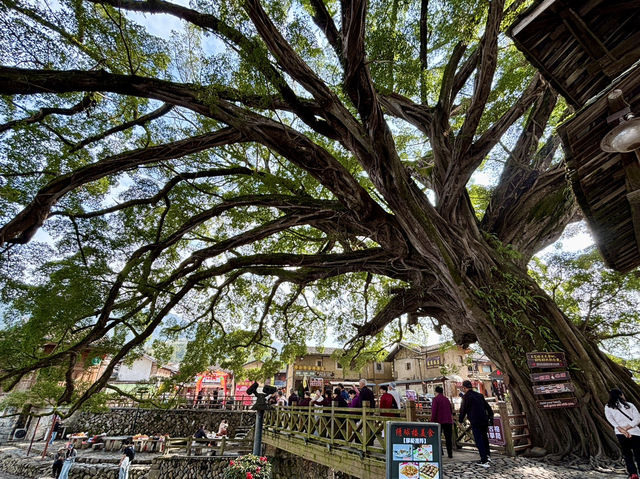 雲水謠的日與夜 雲水謠的日與夜