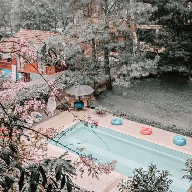 Nature-Lover’s Dream Stay: Cozy Hotel Review 🏡🌲 Nature-Lover’s Dream Stay: Cozy Hotel Review 🏡🌲