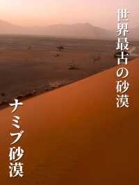 【世界最古の砂漠】ナミブ砂漠🇳🇦