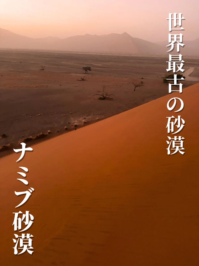【世界最古の砂漠】ナミブ砂漠🇳🇦