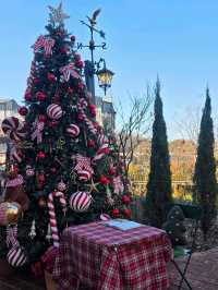 🌳🎄인천 로즈스텔라정원 ❄️