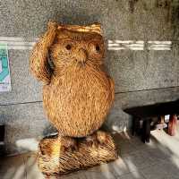 🎄 Festive Getaway: Scenic Views & Relax at Cat Nose Head