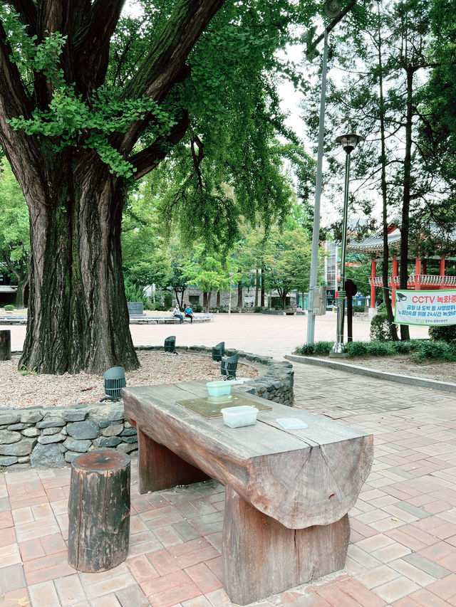 ๐ณ๐ฌๆธ
ๅท้ๆฃตๆจนๅคช็ด
ไบ๏ผ900ๆญฒ้ๆ๏ผใ้ปๆๆฆฎ่ใๆๆๅฐ๏ผๆฐๅๆ็ตไบ๏ผ๐ฌ๐ณ ๐ณ๐ฌๆธ
ๅท้ๆฃตๆจนๅคช็ด
ไบ๏ผ900ๆญฒ้ๆ๏ผใ้ปๆๆฆฎ่ใๆๆๅฐ๏ผๆฐๅๆ็ตไบ๏ผ๐ฌ๐ณ