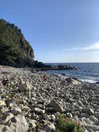 Blue Bridge Magic🌊