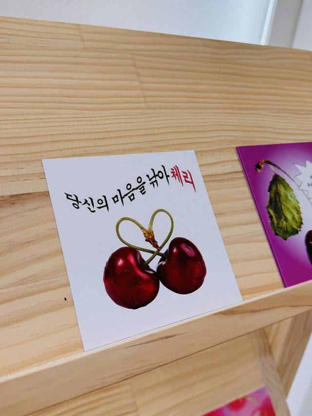 경주 체리주 경주 체리주