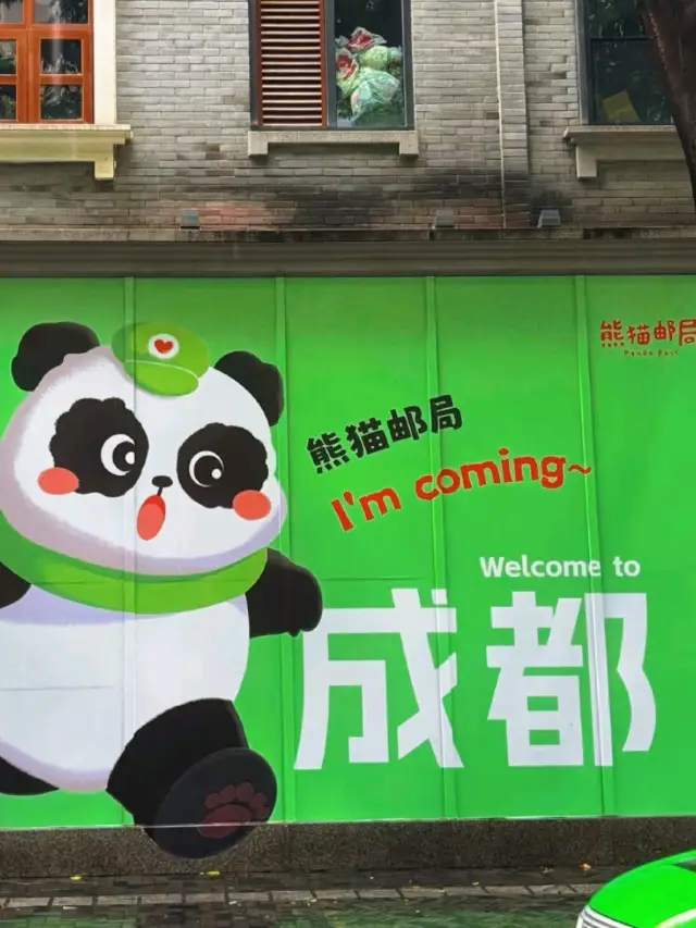 Giant Panda Watching in Chengdu